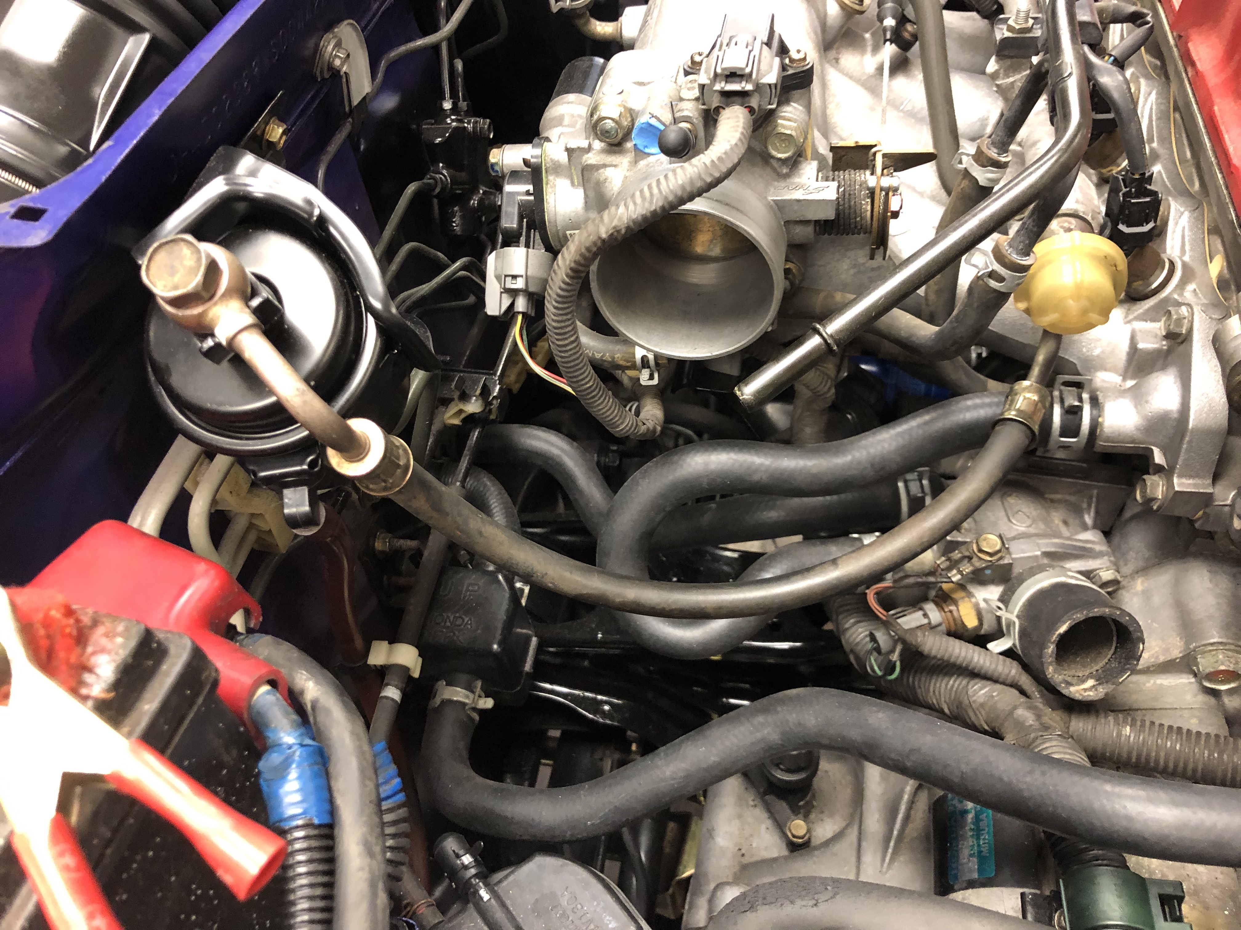 Fuel line and hoses